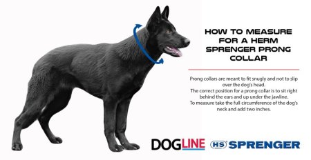 Herm deals prong collar