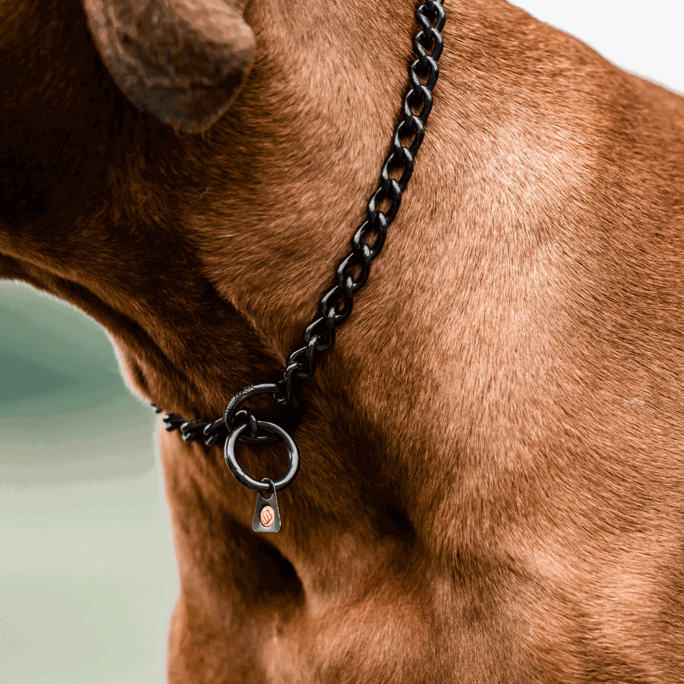 Herm Sprenger Black Stainless Steel Short Link Chain Collar 3 mm