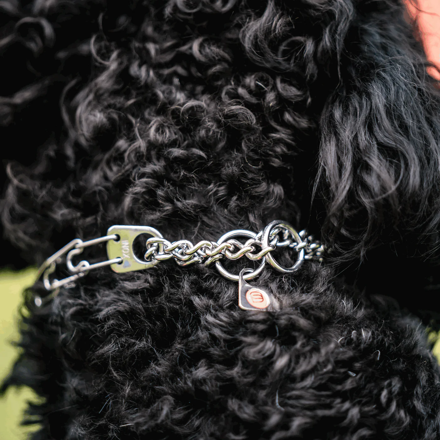 MICRO-PLUS Training Prong Collar with Center-Plate and Assembly Chain - Stainless steel, 1.5 mm, 32 cm / 13"