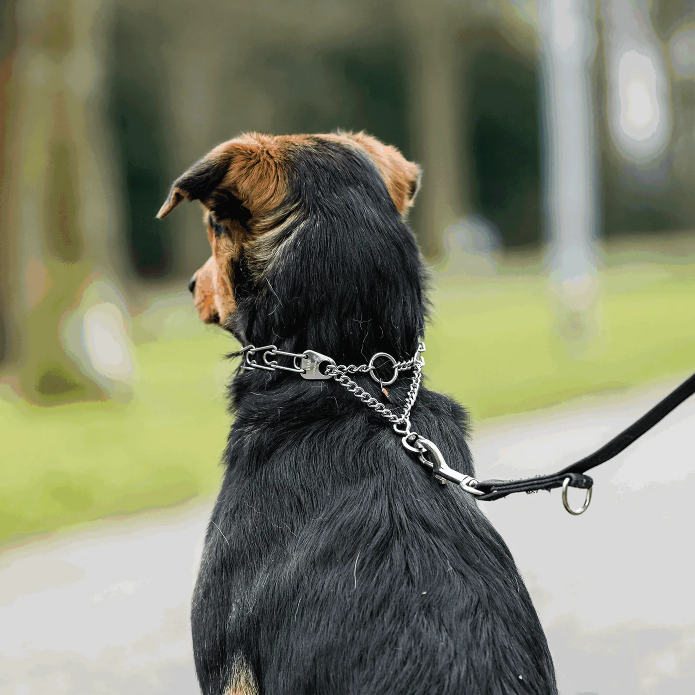 Herm Sprenger Stainless Steel Prong Collar with Swivel