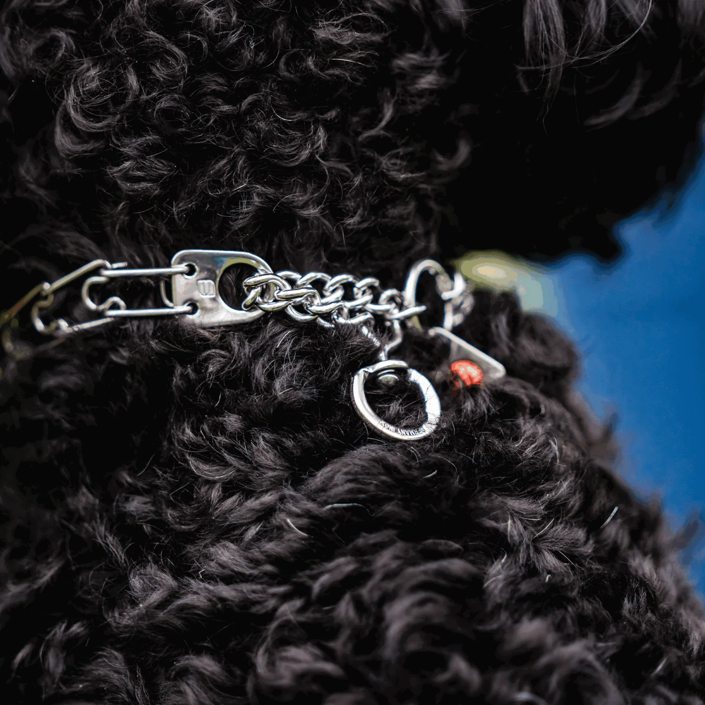 MICRO-PLUS Training Prong Collar with Center-Plate and Assembly Chain and Swivel - Stainless steel, 1.5 mm, 32 cm / 13"